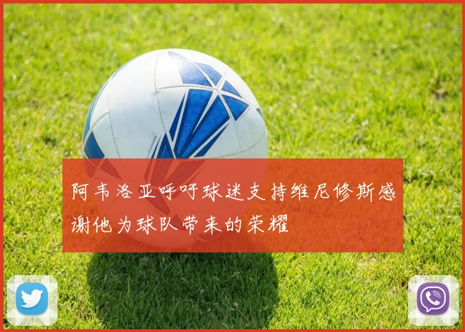 阿韦洛亚呼吁球迷支持维尼修斯感谢他为球队带来的荣耀