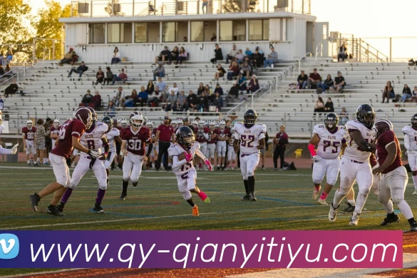 数据防护可视化